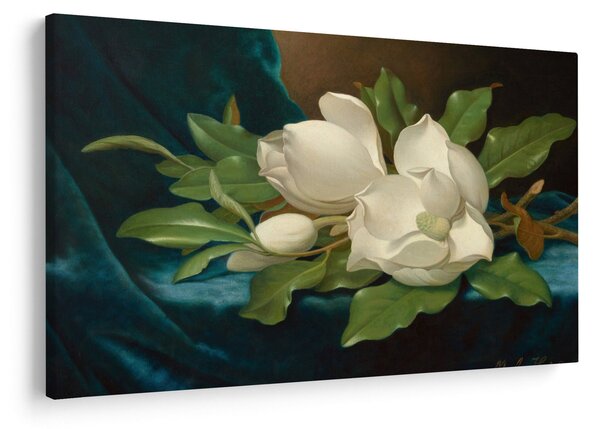 Tablou - Martin Johnson Heade, Giant Magnolias on a Blue Velvet Cloth, reproducere (90x60 cm)