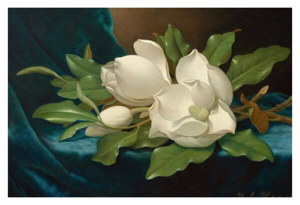 Tablou - Martin Johnson Heade, Giant Magnolias on a Blue Velvet Cloth, reproducere (90x60 cm)