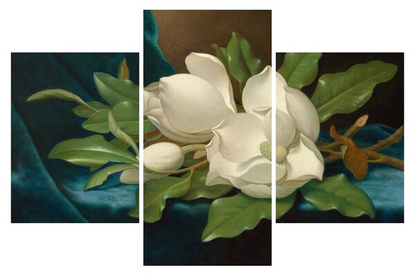Tablou - Martin Johnson Heade, Giant Magnolias on a Blue Velvet Cloth, reproducere (90x60 cm)