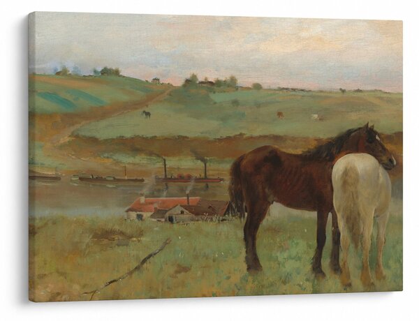 Tablou - Edgar Degas, Horses in a Meadow, reproducere (70x50 cm)