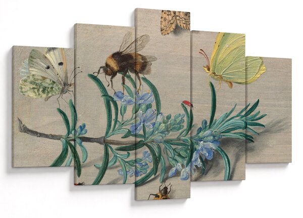 Tablou - Jan van Kessel the Elder, Insects and a Sprig of Rosemary, reproducere (150x105 cm)