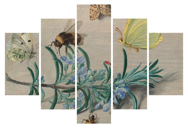 Tablou - Jan van Kessel the Elder, Insects and a Sprig of Rosemary, reproducere (150x105 cm)