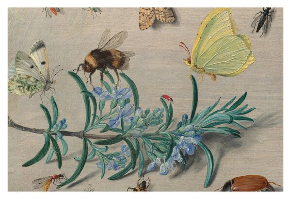 Tablou - Jan van Kessel the Elder, Insects and a Sprig of Rosemary, reproducere (90x60 cm)