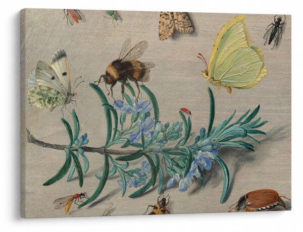 Tablou - Jan van Kessel the Elder, Insects and a Sprig of Rosemary, reproducere (70x50 cm)