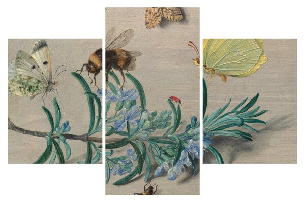 Tablou - Jan van Kessel the Elder, Insects and a Sprig of Rosemary, reproducere (90x60 cm)