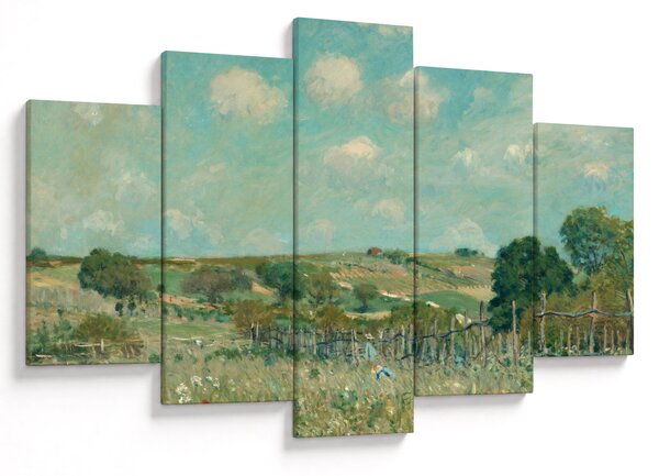Tablou - Alfred Sisley, Meadow, reproducere (150x105 cm)