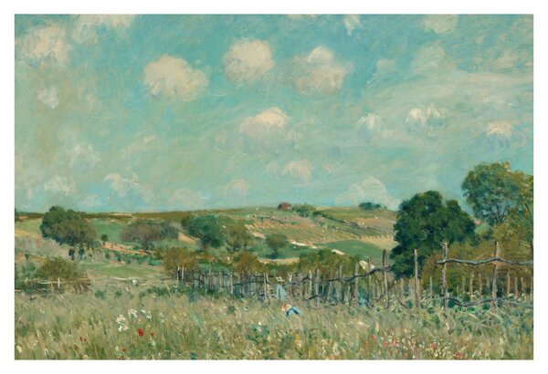 Tablou - Alfred Sisley, Meadow, reproducere (90x60 cm)