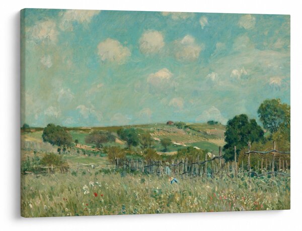 Tablou - Alfred Sisley, Meadow, reproducere (70x50 cm)