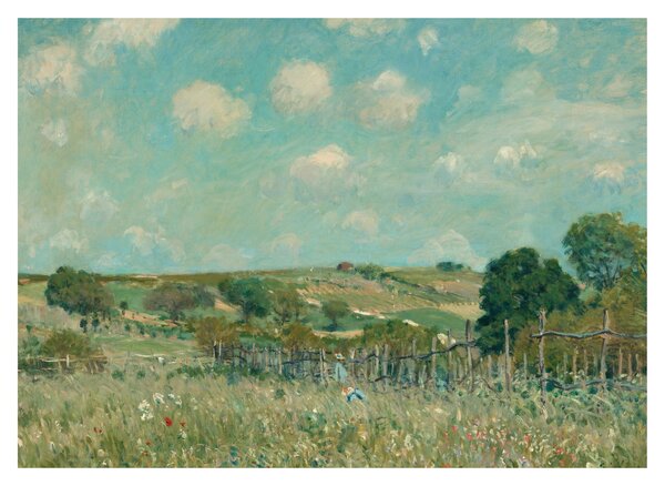 Tablou - Alfred Sisley, Meadow, reproducere (70x50 cm)