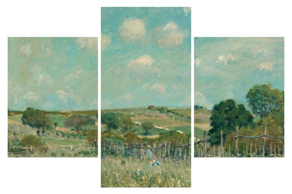 Tablou - Alfred Sisley, Meadow, reproducere (90x60 cm)