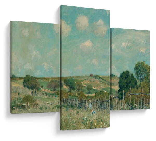 Tablou - Alfred Sisley, Meadow, reproducere (90x60 cm)