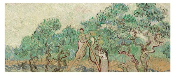 Tablou - Vincent van Gogh, The Olive Orchard, reproducere (120x50 cm)