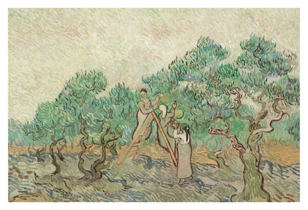 Tablou - Vincent van Gogh, The Olive Orchard, reproducere (90x60 cm)