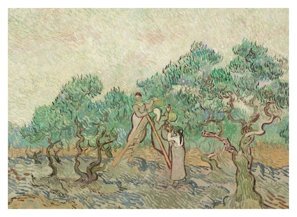 Tablou - Vincent van Gogh, The Olive Orchard, reproducere (70x50 cm)