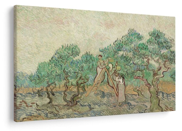 Tablou - Vincent van Gogh, The Olive Orchard, reproducere (90x60 cm)