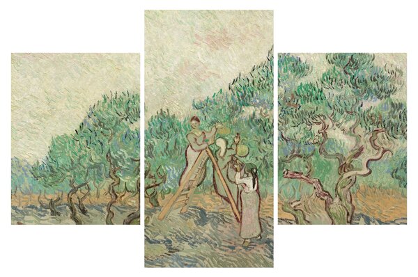 Tablou - Vincent van Gogh, The Olive Orchard, reproducere (90x60 cm)