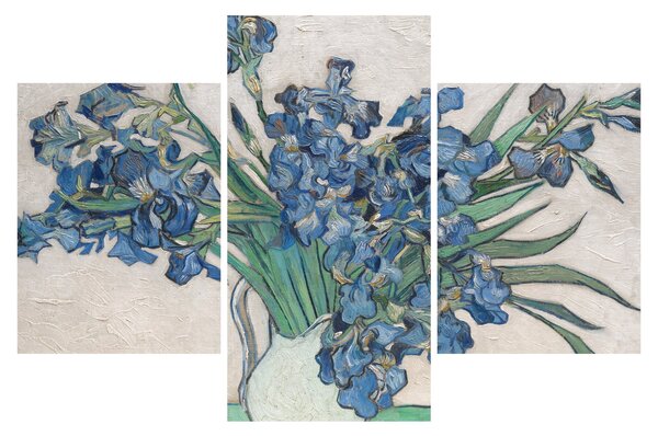 Tablou - Vincent van Gogh, Irises, reproducere (90x60 cm)