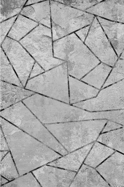 Covor Trina 120x180