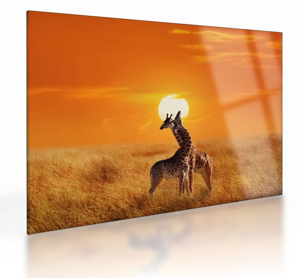 Tablou pe sticlă - Girafe în Parcul Național Serengeti (70x50 cm)