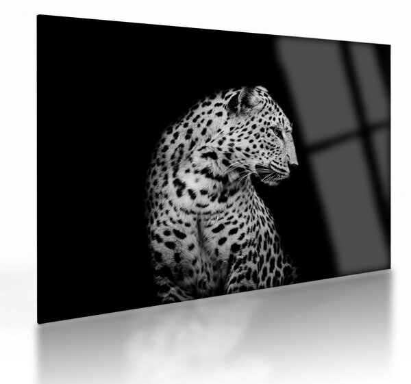 Tablou pe sticlă - Leopardul (70x50 cm)