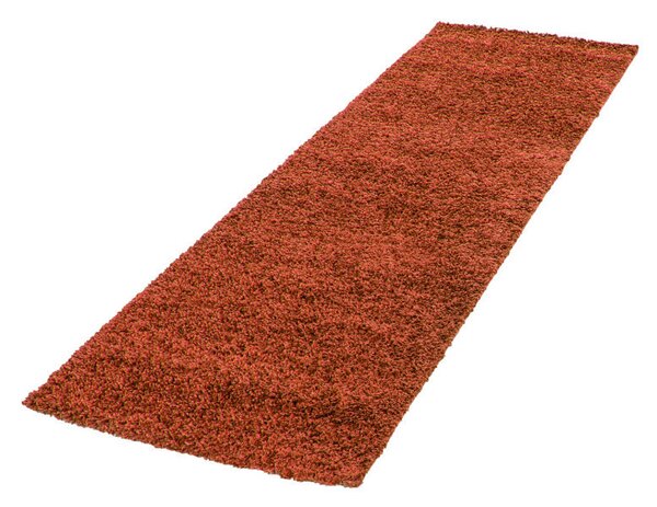 Covor Life Terra V1 80x250 cm