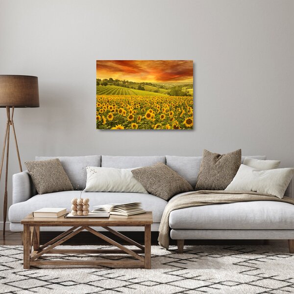 Tablou pe sticlă - Câmp de floarea-soarelui (70x50 cm)