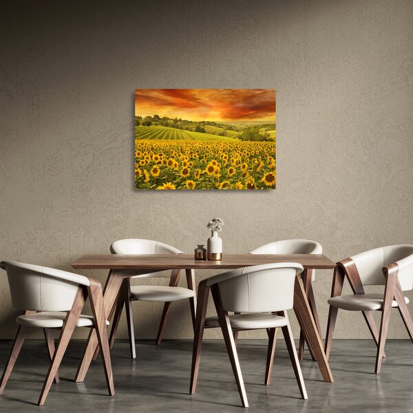 Tablou pe sticlă - Câmp de floarea-soarelui (70x50 cm)