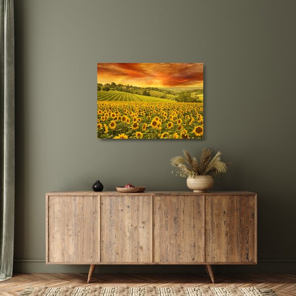 Tablou pe sticlă - Câmp de floarea-soarelui (70x50 cm)