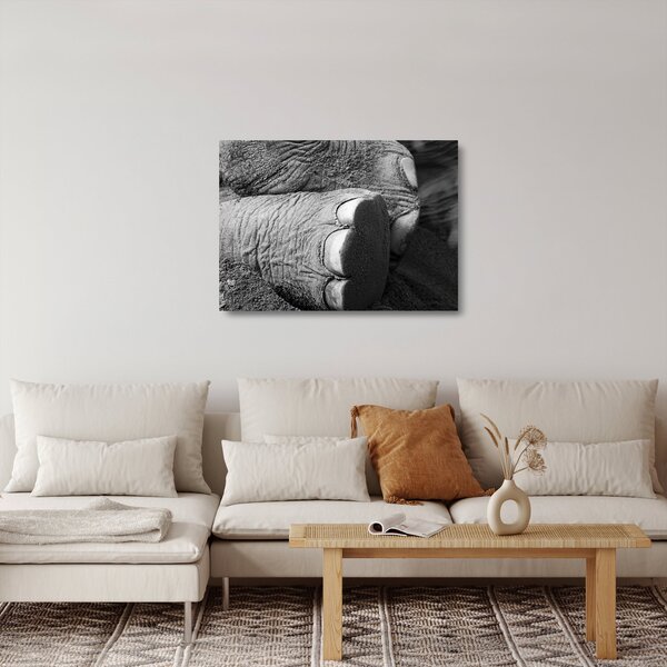 Tablou pe sticlă - Picior de elefant (70x50 cm)