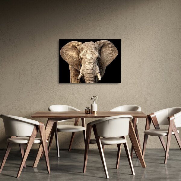 Tablou pe sticlă - Elefant african (70x50 cm)