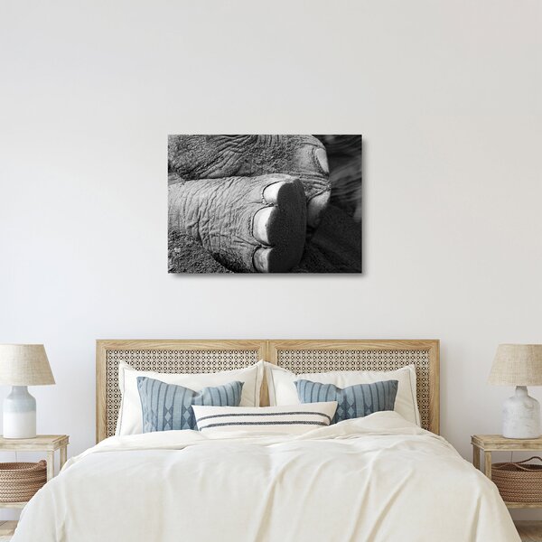 Tablou pe sticlă - Picior de elefant (70x50 cm)