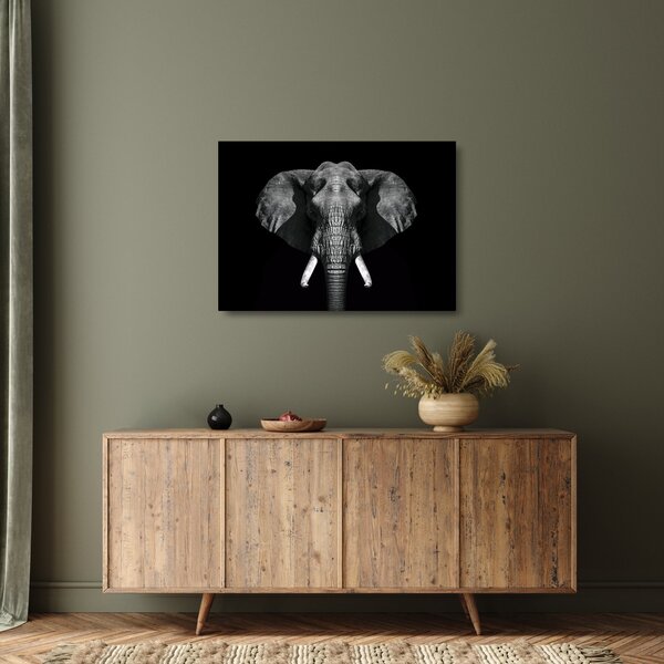 Tablou pe sticlă - Elefant pe fundal negru (70x50 cm)