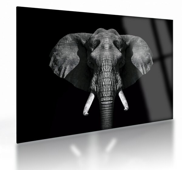 Tablou pe sticlă - Elefant pe fundal negru (70x50 cm)