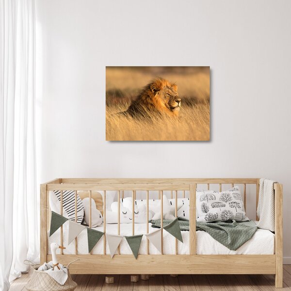 Tablou pe sticlă - Parcul Național Etosha (70x50 cm)