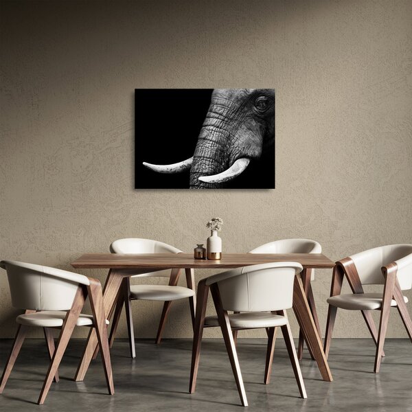 Tablou pe sticlă - Colți de elefant (70x50 cm)
