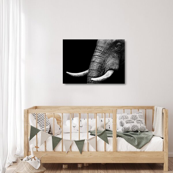 Tablou pe sticlă - Colți de elefant (70x50 cm)