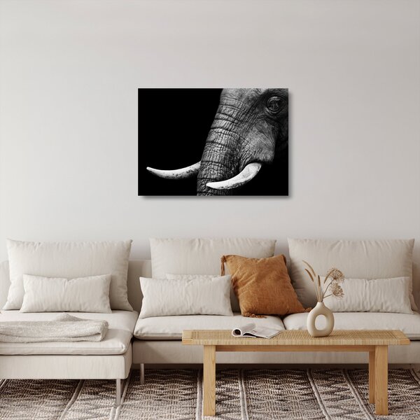 Tablou pe sticlă - Colți de elefant (70x50 cm)