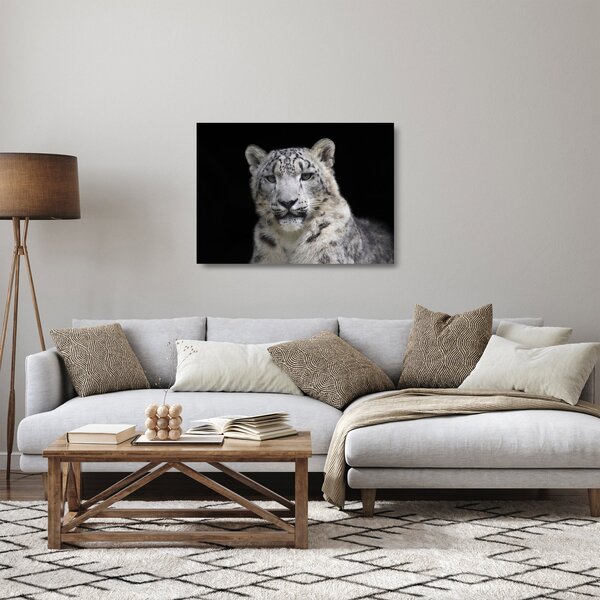 Tablou pe sticlă - Snow Leopard (70x50 cm)