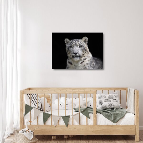 Tablou pe sticlă - Snow Leopard (70x50 cm)