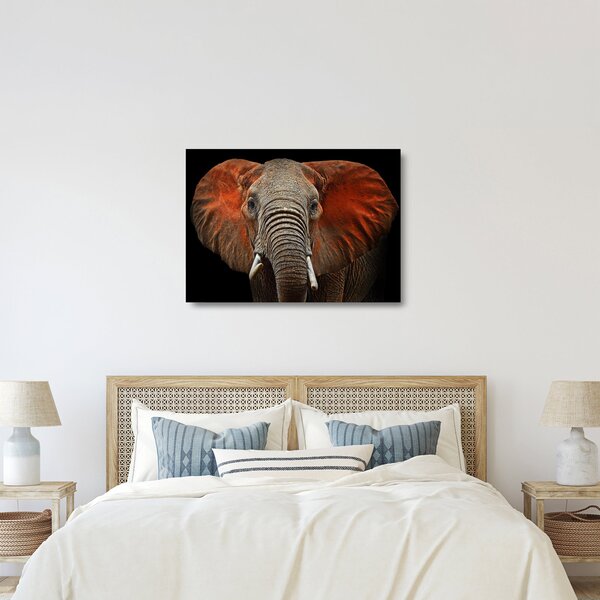 Tablou pe sticlă - Elefanți cu Tsavo (70x50 cm)