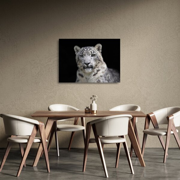 Tablou pe sticlă - Snow Leopard (70x50 cm)