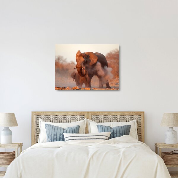 Tablou pe sticlă - Marele elefant african (70x50 cm)