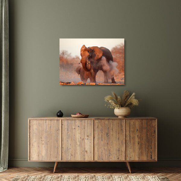 Tablou pe sticlă - Marele elefant african (70x50 cm)