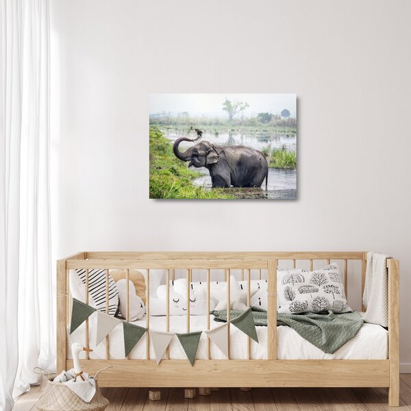 Tablou pe sticlă - Elefant de scăldat (70x50 cm)