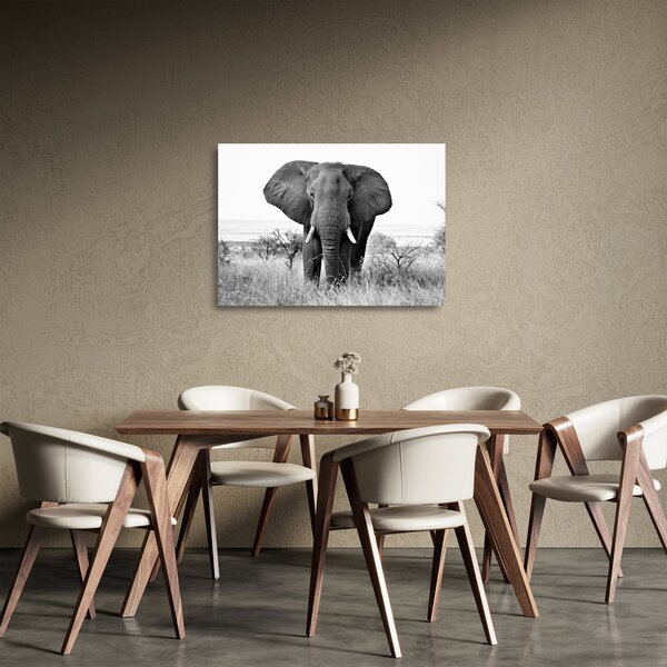 Tablou pe sticlă - Elefantul african II. (70x50 cm)