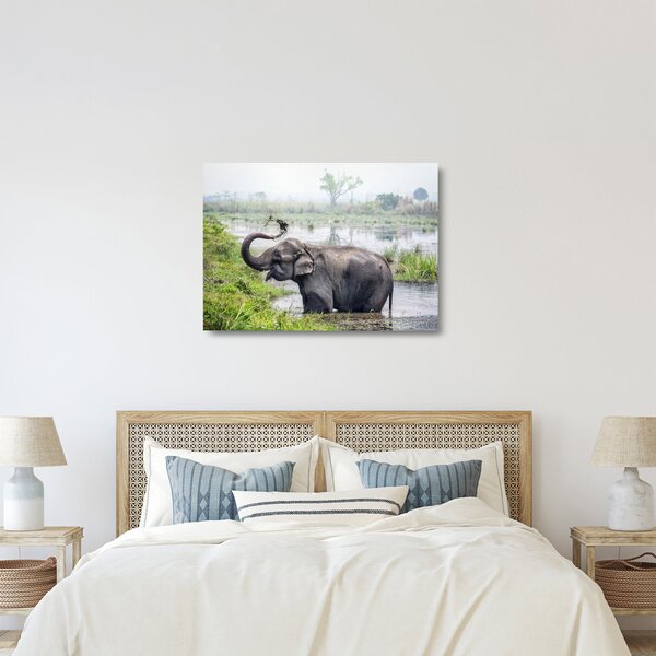 Tablou pe sticlă - Elefant de scăldat (70x50 cm)