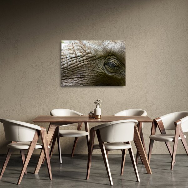 Tablou pe sticlă - Prim-planul ochiului de elefant vechi (70x50 cm)