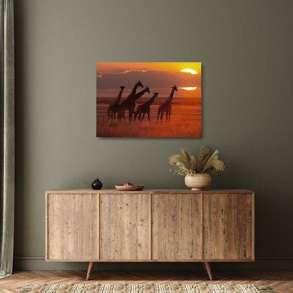 Tablou pe sticlă - Girafe în savana africană (70x50 cm)