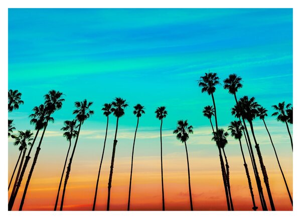 Tablou pe sticlă - California (70x50 cm)