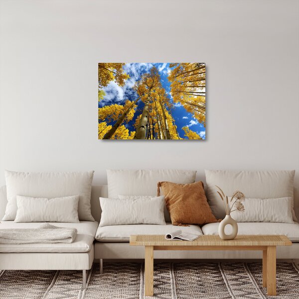 Tablou pe sticlă - Aspen (70x50 cm)